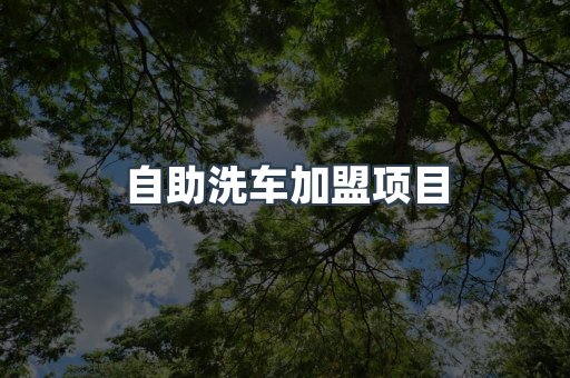 自助洗车加盟项目