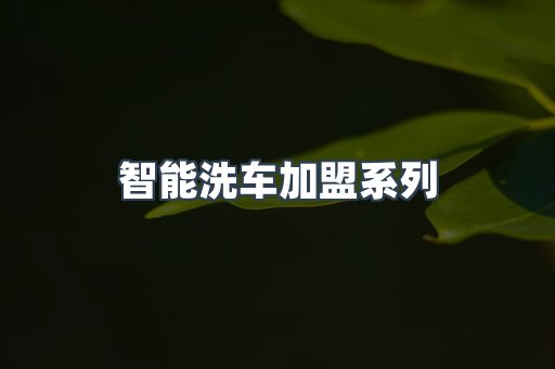 自助洗车加盟项目