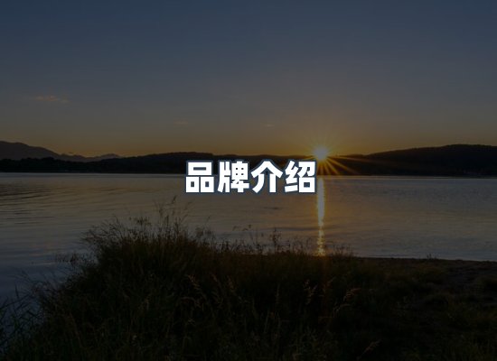 运营团队